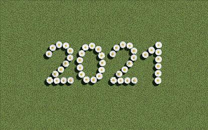 《艾尔登法环》实体版封面曝光 XSX版确认支持4K