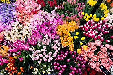 在《无主之地4》中我们将要迎来一位强大的新魔女